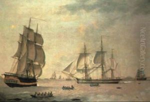 The Whaler 'ocean'