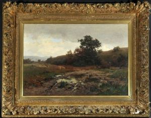 Moorlandschaft Bei Gewitterstimmung Moorlandschaft Bei Gewitterstimmung