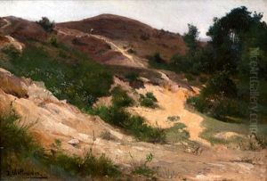 Hohe Dunen by Josef Willroider