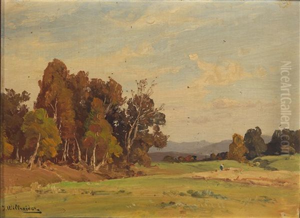 From Bernried - view 1