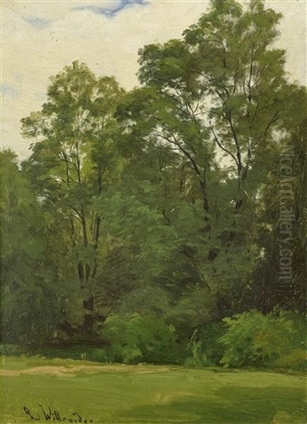 Trees At The Edge Of A Meadow - view 1