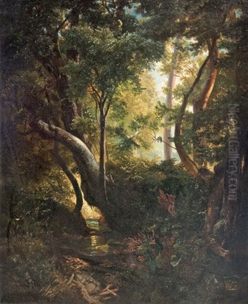 Romantic Forest Clearing - view 1