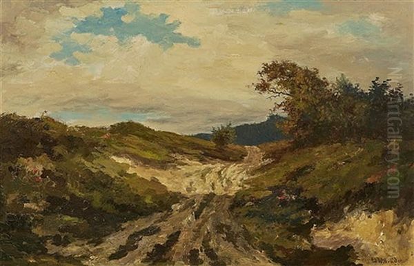 A Field Path - view 1