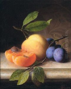 Stillben Mit Pfirsich Und Pflaumen by Peter Joseph Wilms