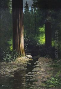 Redwood Forest Interior
