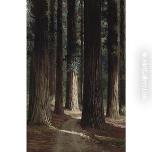 Forest Interior