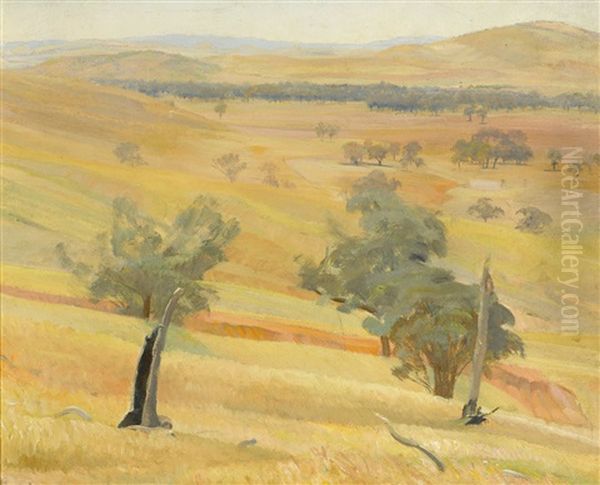 Wantabadgery Hills - view 1