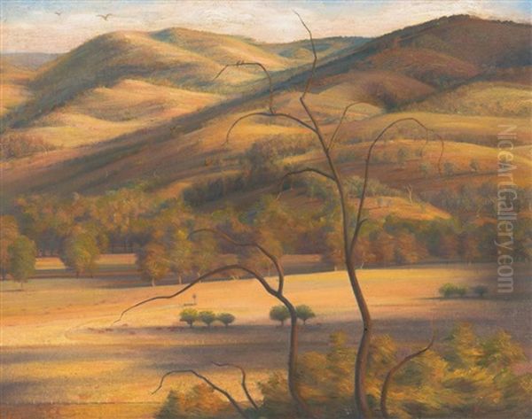 Wantabadgery Landscape - view 1