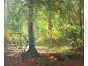 Sunlit Wood, Spring Sunlit Wood, Spring