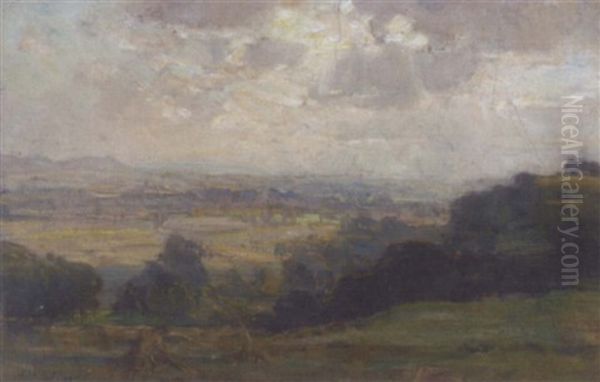 Hay Ricks Before An Extensive Summer Landscape - view 1