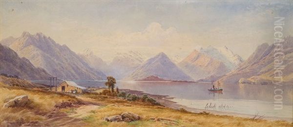 Lake Wakatipu From The Von River - view 1