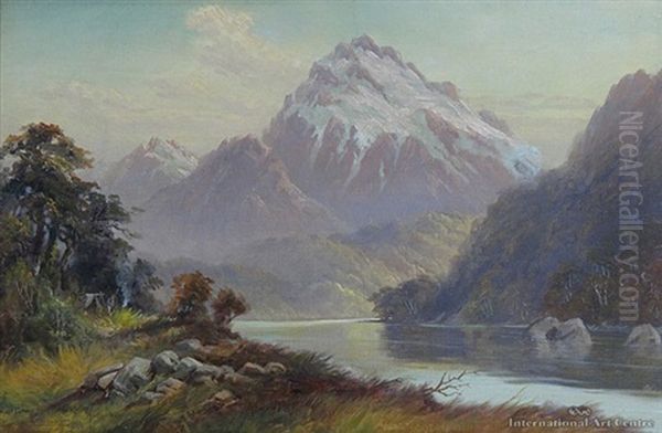 Mount Tutoka From Pykes River, Martins Bay - view 1