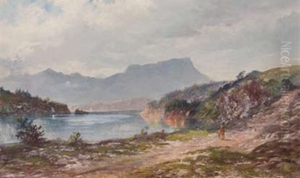 Portobello, Otago Harbour - view 1
