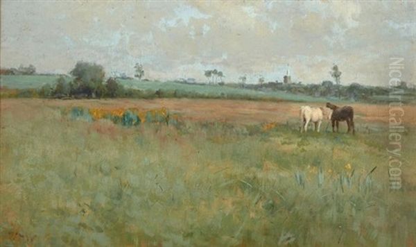 Chevaux Dans Un Paysage De Prairie - view 1