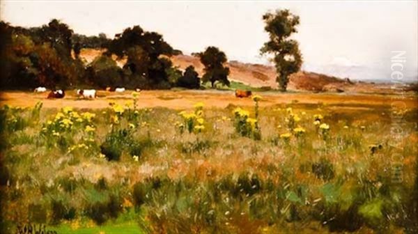 A Suffolk March - view 1