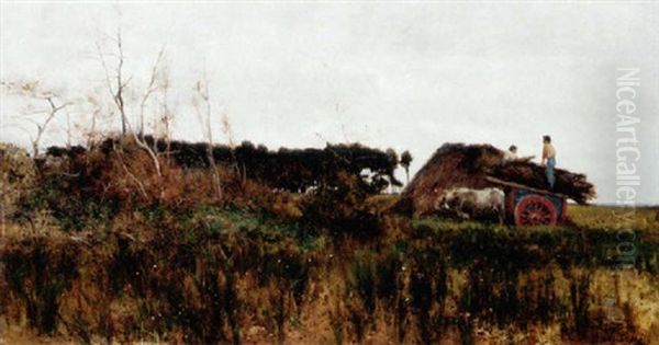 Stacking Firewood, Autumn Morning In Tuscan Maremma, Tuscany - view 1