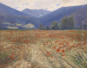 Kornfeld Mit Mohnblumen Kornfeld Mit Mohnblumen
