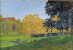 Sommerlandschaft Sommerlandschaft