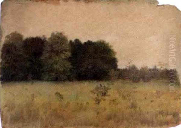 Field With Distant Tree Embankment - view 1