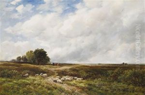 Sheep Resting In An Open Landscape by Edmund Morison Wimperis