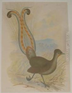 Lyre by Gracius Joseph Broinowski