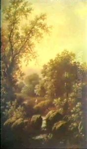 Baumreiche Bachlandschaft Mit Fischer