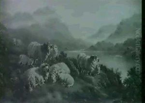 Highland Sheep by Daniel H. Winder