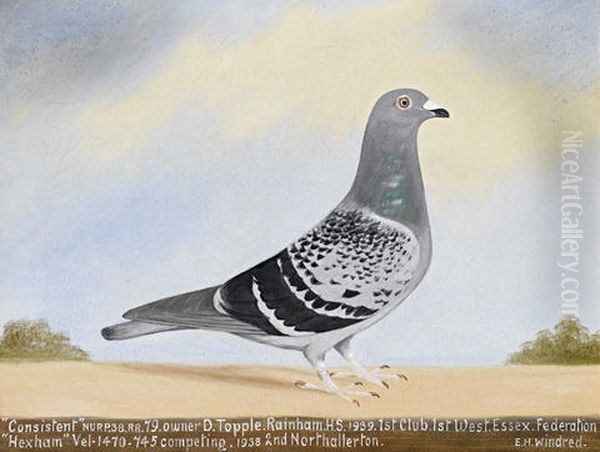 "war Declared" (+ 2 Others; 3 Works) - view 1