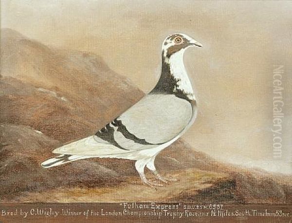 Racing Pigeons (studies; 3 Works) - view 1