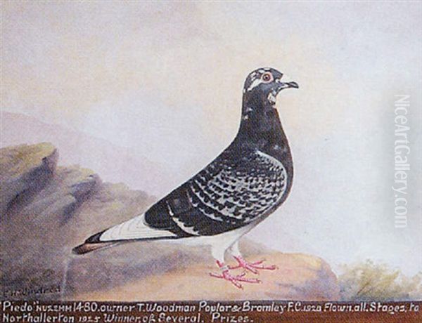 Blue Hen "midget" - view 1