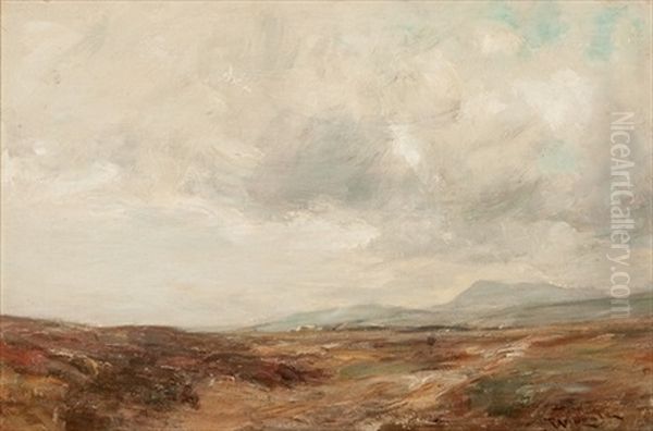 Highland Skyscape - view 1