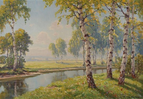 Flusslandschaft Im Birkenwald - view 1