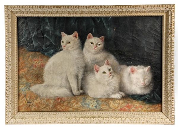 Four White Cats - view 1