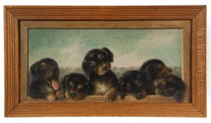 Six Puppies In A Trompe L'oeil Frame by Susanna Adams Winn