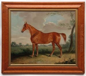 Horse In Landscape