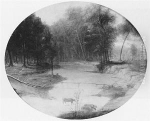 Wild Cat Creek Wild Cat Creek