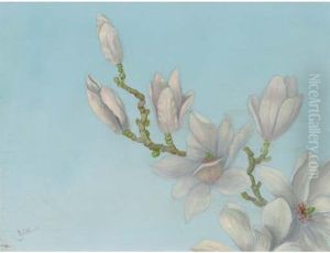 A Twig Of Magnolia