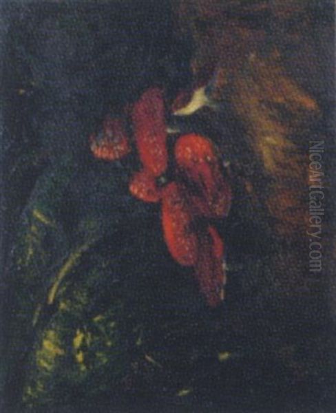 Toadstools - view 1