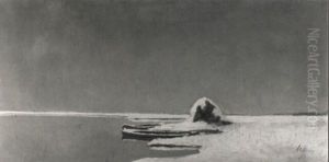 Boten In Een Winterlandschap