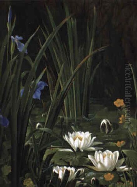 Waterlilies - view 1