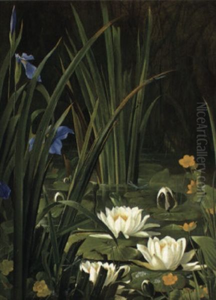 The Lily Pond - view 1