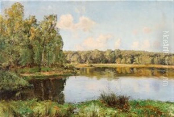 A Summer Landscape Near Lake And Forest - view 1