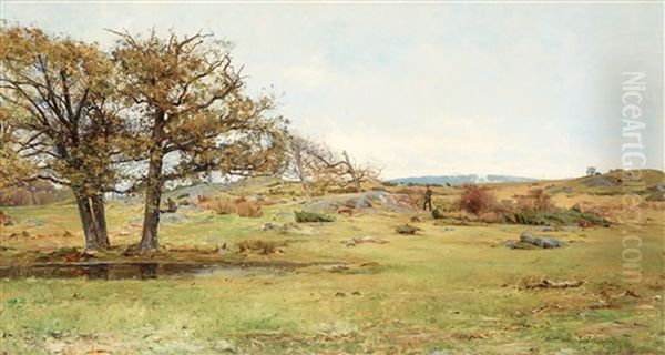 Jagare I Oppet Landskap - view 1