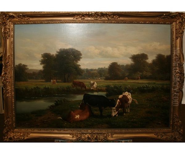Cattle Resting In A Verdant Landscape - view 1