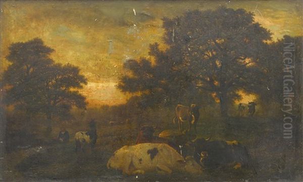 Cattle Resting In A Meadow At Evening - view 1