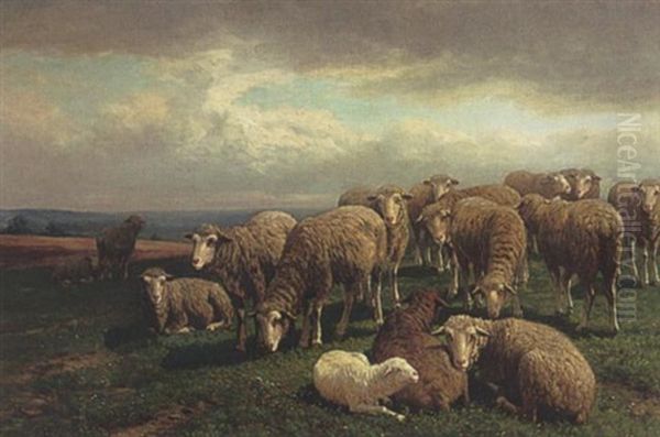Sheep In A Landscape - view 1
