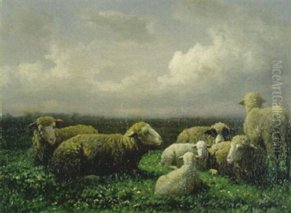 Ruhende Schafe - view 1