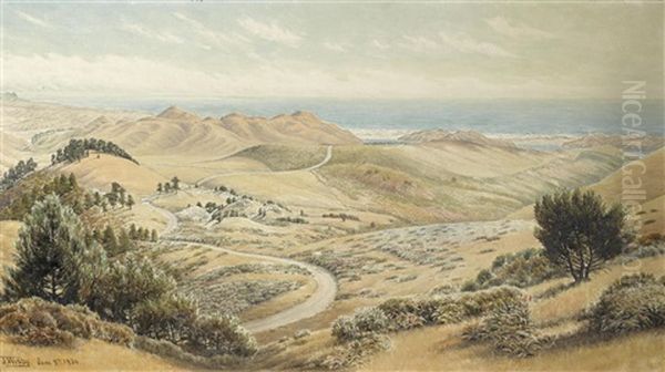 Hills Of Marin Above Stinson Beach - view 1