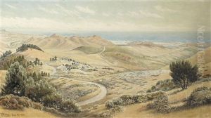 Hills Of Marin Above Stinson Beach by Jack Wisby
