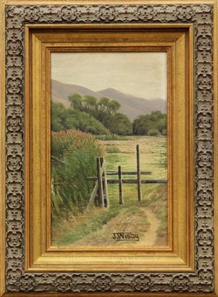 California Hills - view 1